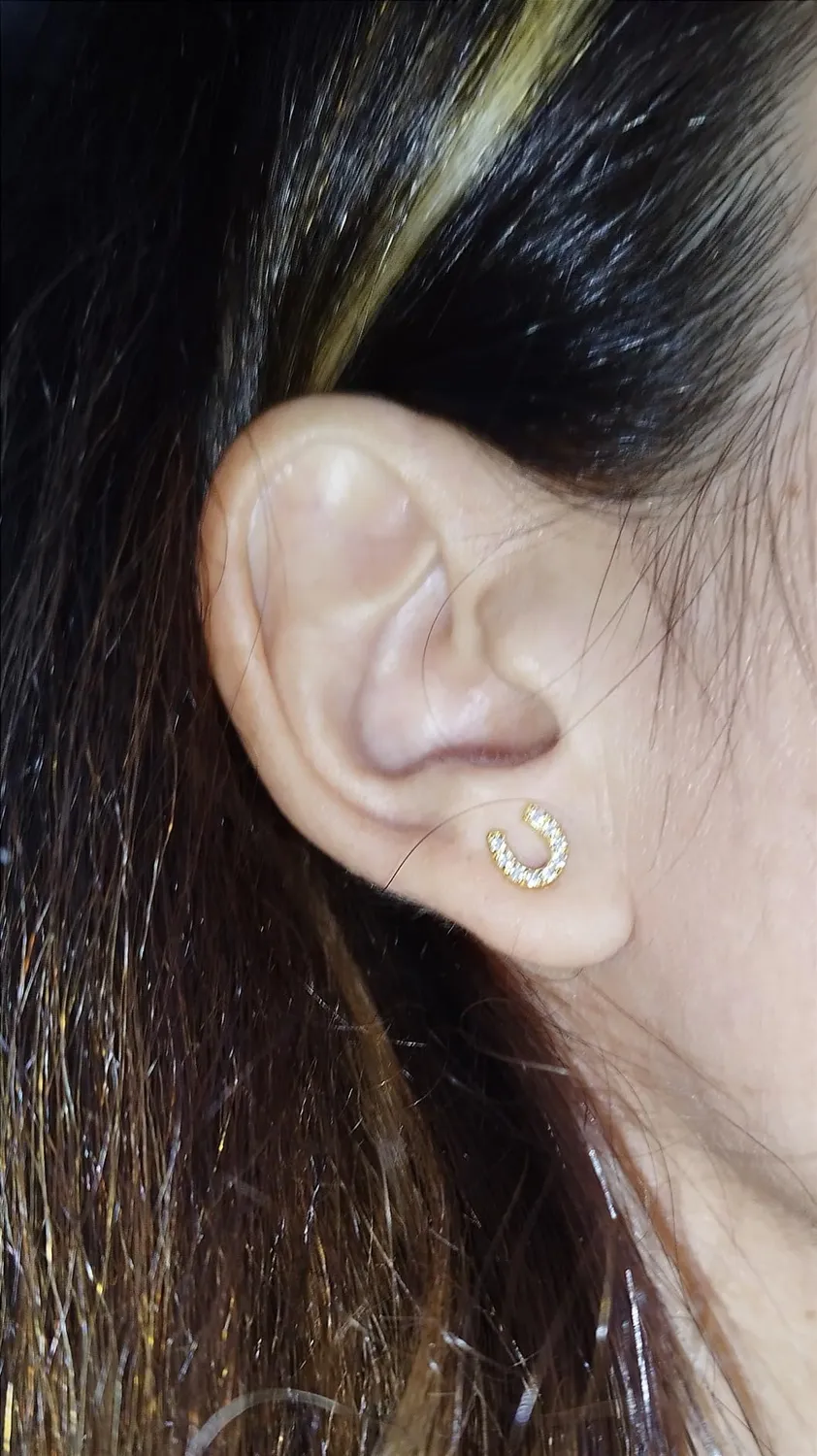Diamond Treats Orecchini Ferro Cavallo Oro Zirconi Argento